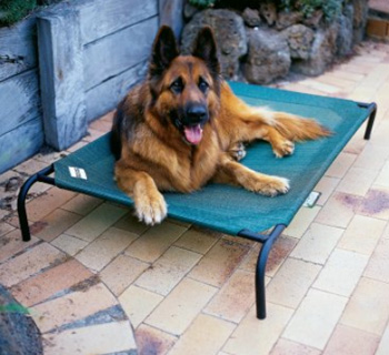 Дачное ложе для собак Дачное ложе для собак