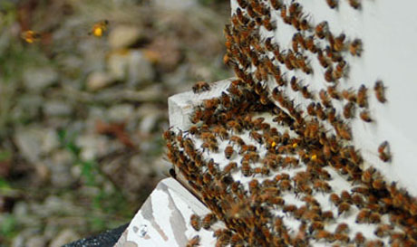 ��������� ������