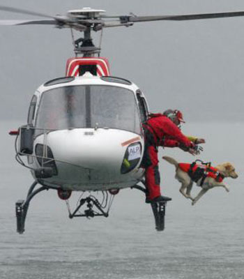 �������� ��������� � ���� ��� ����������� ����������