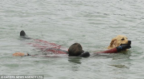 �������� ��������� � ���� ��� ����������� ����������