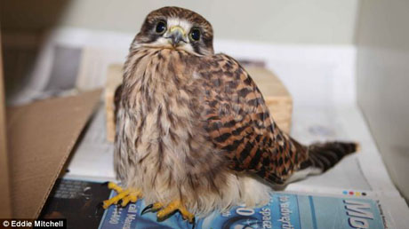 ��������� � ������