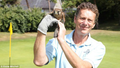 ��������� � ������