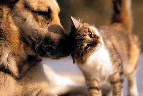 �������� �������� �� �������� �����