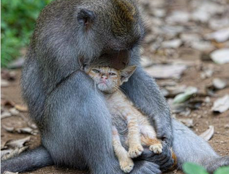 �������� ��������� ������