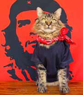 "� ����� ������ ������, � �� ����� ���?"