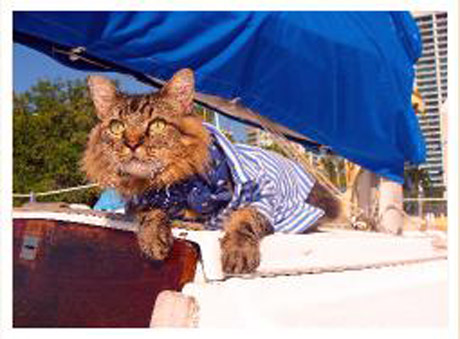 "� ����� ������ ������, � �� ����� ���?"