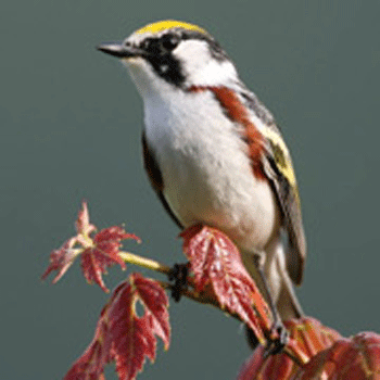 � ���� ���� ���� ����