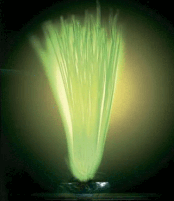 �����-����� ��� ���������