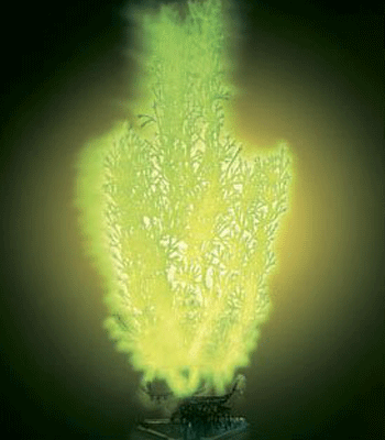 �����-����� ��� ���������