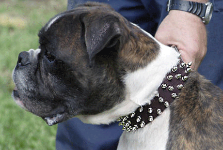 � ������ ������� ��������� ������