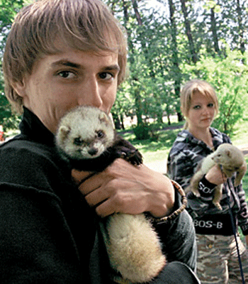 � ������ ������ ���� ������