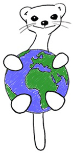 � ������ ������ ���� ������