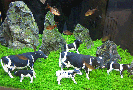 ����������� �����. ����