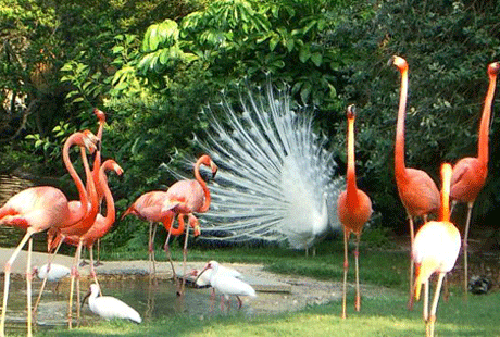 � ������� ������� ������� ������� ����� ����