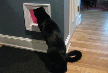 ������ ������� �������