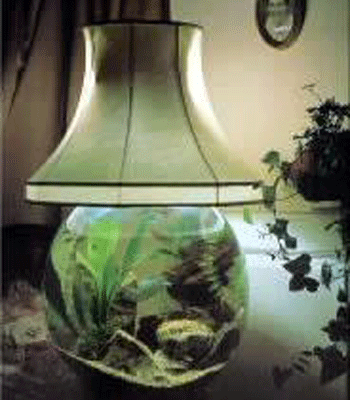 ��������-�����