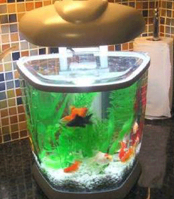 ��������-�����