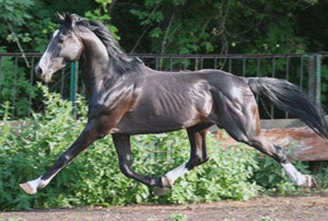 ������� ��� ������