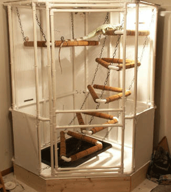 ����������� ��� ��� ������