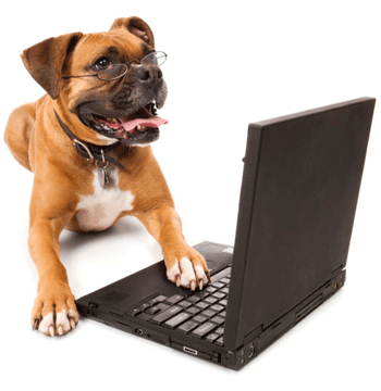 �������, ������, �����?