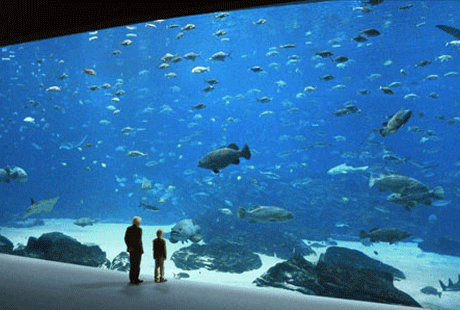 ��������� ��� � 3D �������