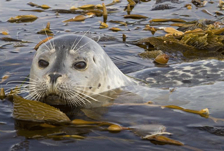 ��������� ��� � 3D �������