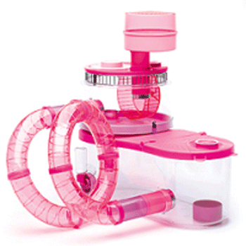 �������������� ������ ��� �������