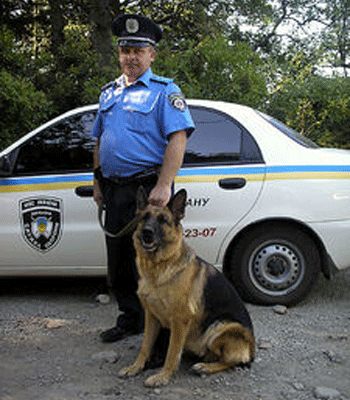 ������� ������ �� ������