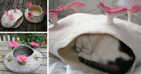 �������� ���������� ��� �����