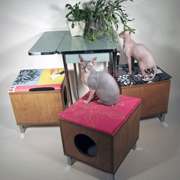 ����� ������ ����� � �����