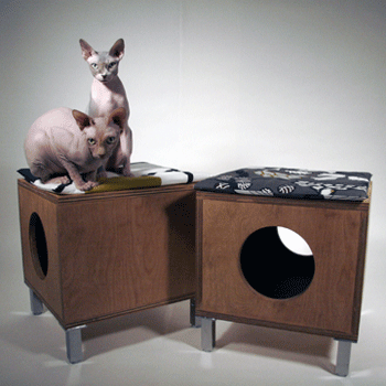 ����� ������ ����� � �����