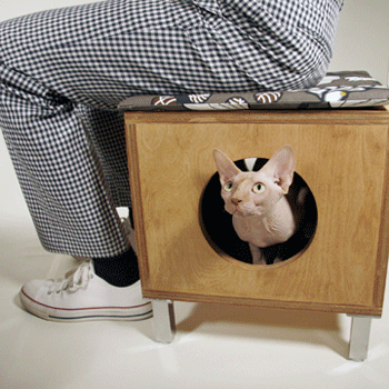 ����� ������ ����� � �����