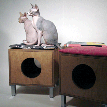 ����� ������ ����� � �����