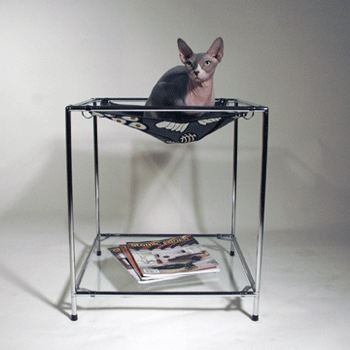 ����� ������ ����� � �����