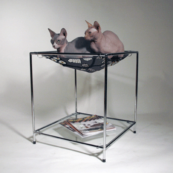 ����� ������ ����� � �����