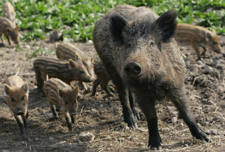 ���� � �������