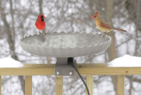 ����� ���� � ������ ����