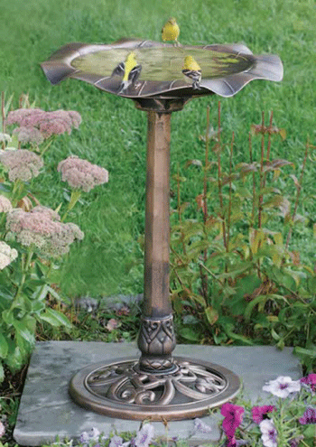 ����� ���� � ������ ����