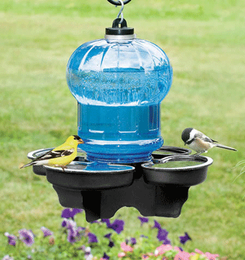 ����� ���� � ������ ����