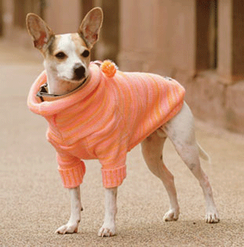 ��������� ����� � ���� �� ���������