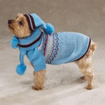 ��������� ����� � ���� �� ���������