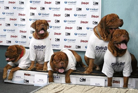 ������ ����� ���������