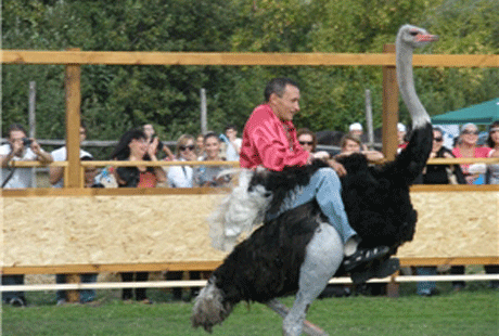 ���������� ���� �������� ������