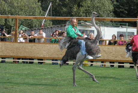 ���������� ���� �������� ������