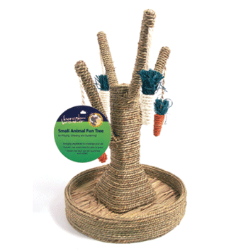 ����� �������� �������