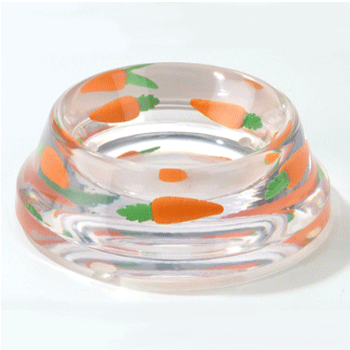 ����� �������� �������