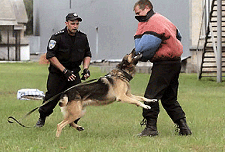 �� ������ ��������� �������