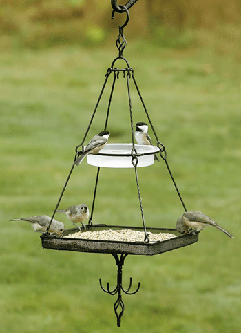 ������ ������� ��� ���� ��� �������