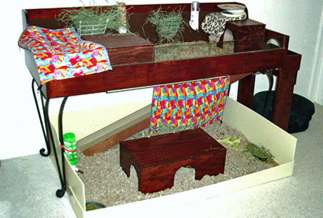 ������ ����������� ������� ������