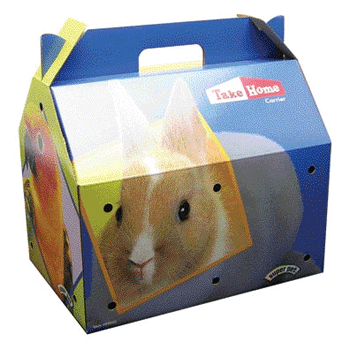 � ��� ������������ ����, ������� � ����������� ���?